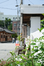 DSC07315.jpg